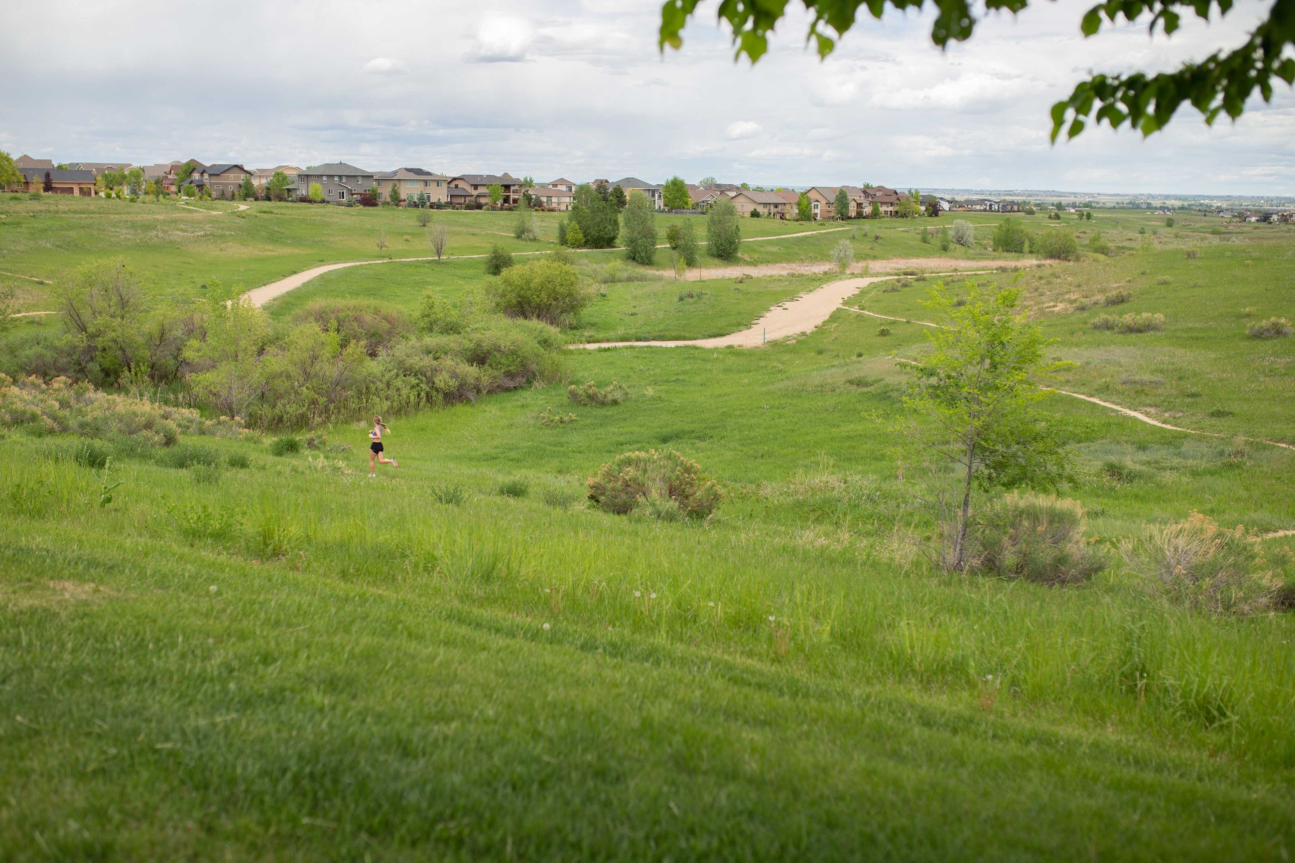 Open space trails with runner running, fields of grass