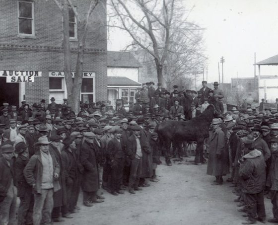 The Hotel de Harris (white building in the far background) taken from Main and 5th Street.